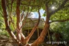 653 Huon Road, Fern Tree, Tas 7054-Image