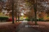 655 Gembrook-Tonimbuk Road, Gembrook, Vic 3783-Image