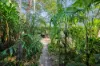 655 Reedbeds Road, Darwin River, NT 0841-Image