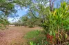 655 Reedbeds Road, Darwin River, NT 0841-Image
