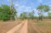 655 Reedbeds Road, Darwin River, NT 0841-Image
