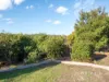 657 East Derwent Highway, Risdon, Tas 7017-Image