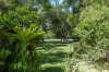 66-78 Mill Hill Road, Montville, Qld 4560-Image