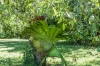 66-78 Mill Hill Road, Montville, Qld 4560-Image