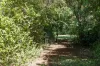 66-78 Mill Hill Road, Montville, Qld 4560-Image