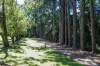 66-78 Mill Hill Road, Montville, Qld 4560-Image