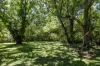 66-78 Mill Hill Road, Montville, Qld 4560-Image