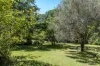 66-78 Mill Hill Road, Montville, Qld 4560-Image