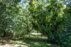 66-78 Mill Hill Road, Montville, Qld 4560-Image