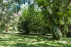 66-78 Mill Hill Road, Montville, Qld 4560-Image