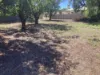 66 Ariah Street, Ardlethan, NSW 2665-Image