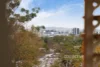 66 Birdwood Terrace, Auchenflower, Qld 4066-Image