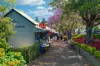 66 Bong Bong Street, Kiama, NSW 2533-Image