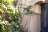 66 Brighton Street, Petersham, NSW 2049-Image