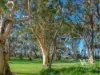 66 Chipana Drive, Little Grove, WA 6330-Image