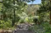 66 Emmett Road, Crafers West, SA 5152-Image