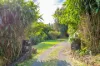 66 Funnell Drive, Modanville, NSW 2480-Image