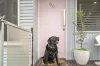 66 Lancelot Street, Tennyson, Qld 4105-Image