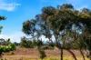 66 McIntyre Drive, Altona, Vic 3018-Image