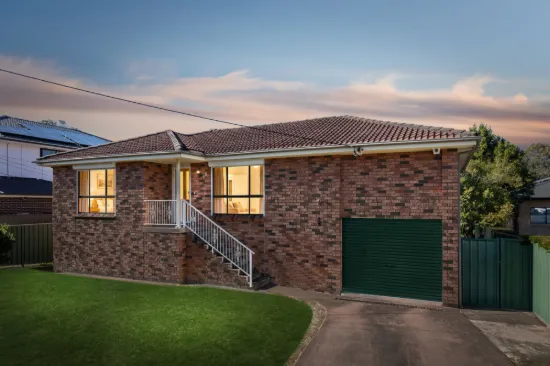 66 Metella Road, Toongabbie, NSW 2146