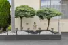 66 Mitchell Street, Maidstone, Vic 3012-Image