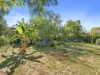 66 Murray Street, Finley, NSW 2713-Image
