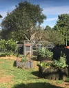 66 Myrtle Street, Dorrigo NSW 2453-Image