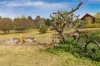 66 Pine Grove, Jindabyne, NSW 2627-Image