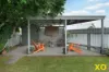 66 Pitt Street, Singleton, NSW 2330-Image