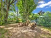 66 Victoria Street, Silkwood, Qld 4856-Image