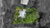 66 Victoria Street, Silkwood, Qld 4856-Image