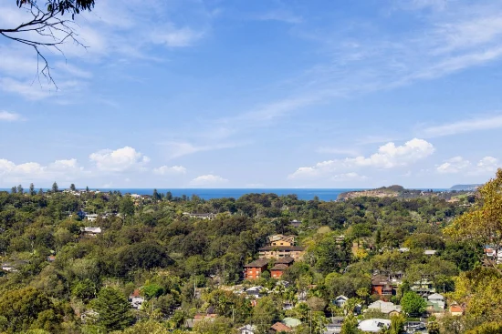66 Wallumatta Road, Newport, NSW 2106