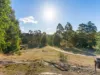 66 Wattle Valley Road, Acacia Hills, Tas 7306-Image