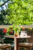 66 Whale Beach Road, Avalon Beach, NSW 2107-Image