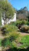 66 Williamson St, Lexton, Vic 3352-Image