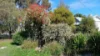 66 Williamson St, Lexton, Vic 3352-Image