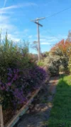 66 Williamson St, Lexton, Vic 3352-Image