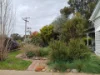 66 Williamson St, Lexton, Vic 3352-Image
