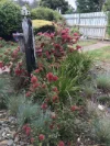 66 Williamson St, Lexton, Vic 3352-Image