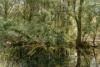 66 Winifred Avenue, Acacia Hills, Tas 7306-Image