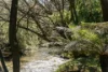 66 Winifred Avenue, Acacia Hills, Tas 7306-Image