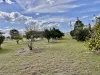 662 Cressbrook Caboonbah Road, Cressbrook, Qld 4313-Image