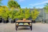 664B Brighton Road, Seacliff Park SA 5049-Image