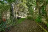 665 Barham River Road, Apollo Bay, Vic 3233-Image