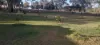 667 River Road, Bungadoo, Qld 4671-Image
