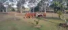 667 River Road, Bungadoo, Qld 4671-Image