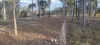 667 River Road, Bungadoo, Qld 4671-Image