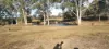 667 River Road, Bungadoo, Qld 4671-Image