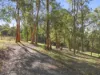 669A Maudsland Road, Maudsland, Qld 4210-Image