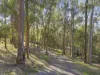 669A Maudsland Road, Maudsland, Qld 4210-Image